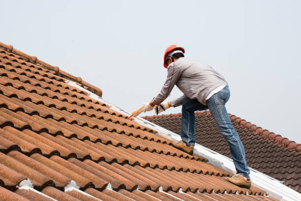 Best Asphalt Shingle Roofing  in Aiken, SC